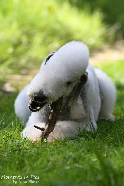 2010-05-29 Alanna und Svet (24).jpg - Airis Blue Volshebny Svet - 2010-05-29